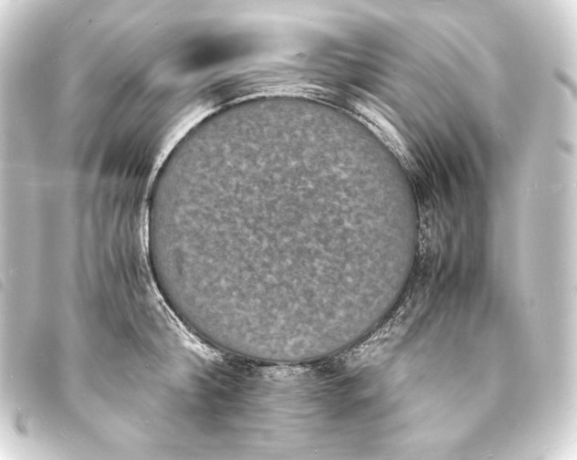 X0000093730804200710301043