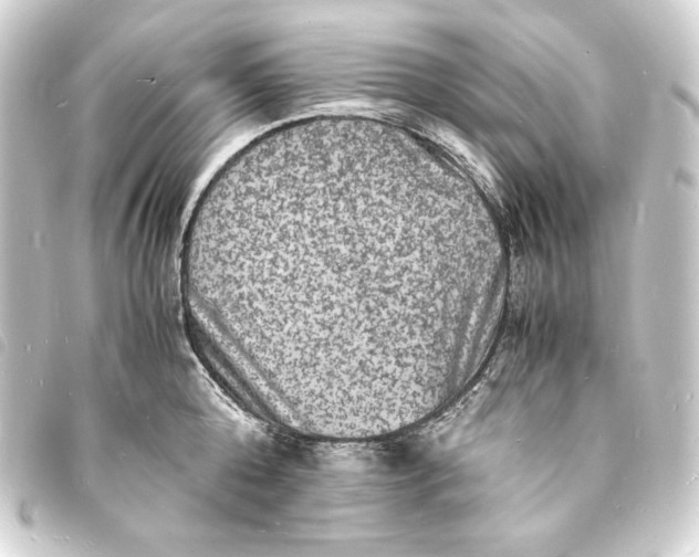 X0000093730808200710301043
