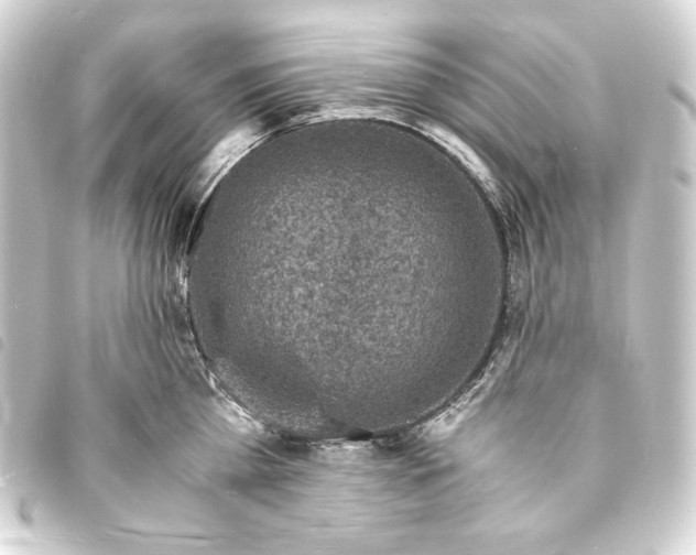 X0000093730809200710301043