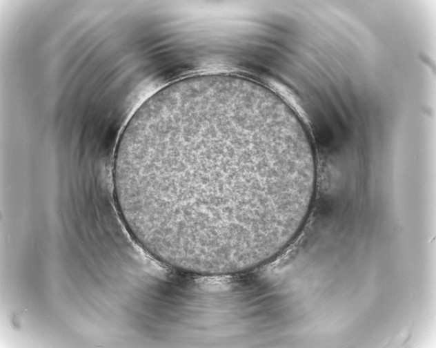 X0000093730810200710301043
