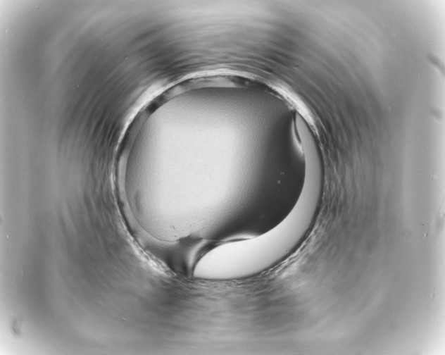X0000093730813200710301043