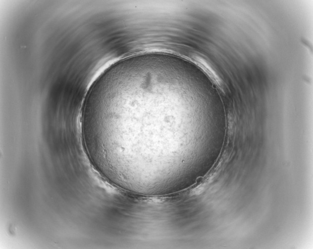 X0000093730814200710301043
