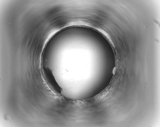 X0000093730815200710301043