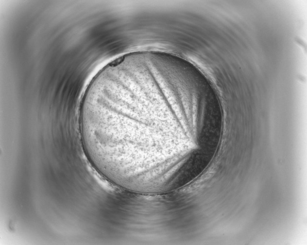 X0000093730816200710301043