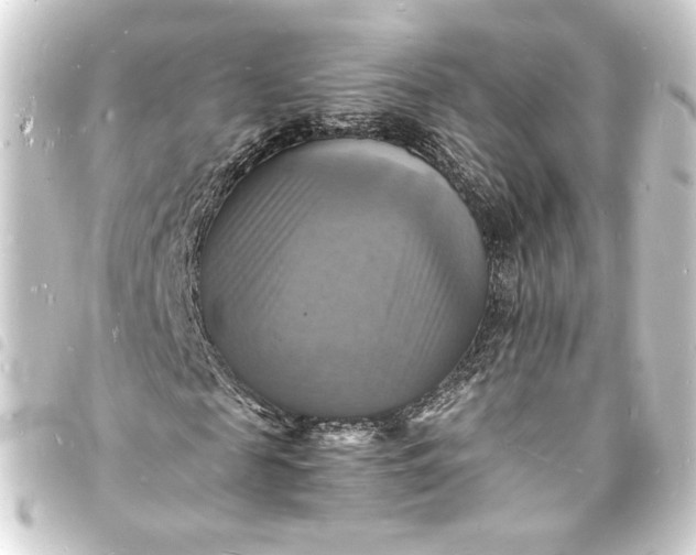X0000093730817200710301042