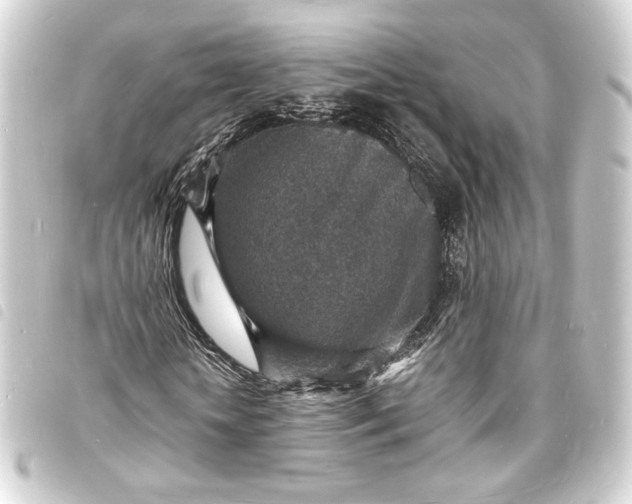 X0000093730818200710301042