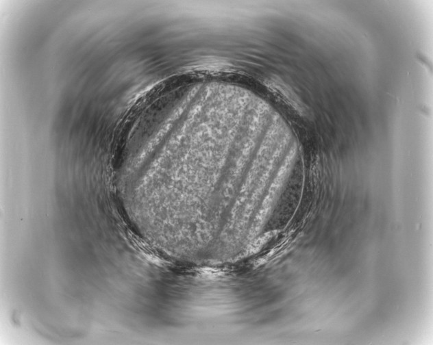 X0000093730822200710301042