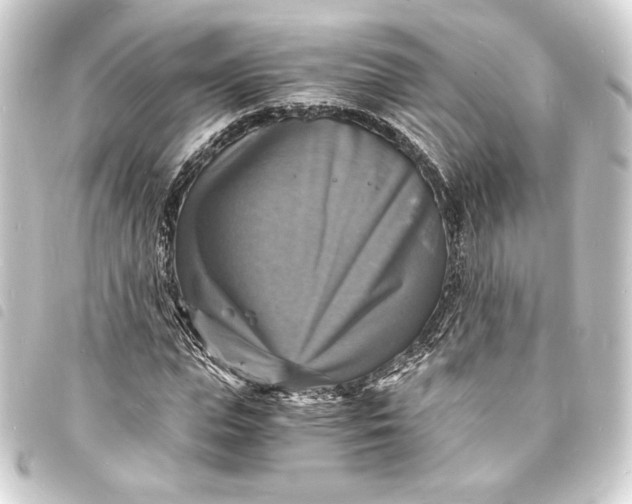 X0000093730823200710301042