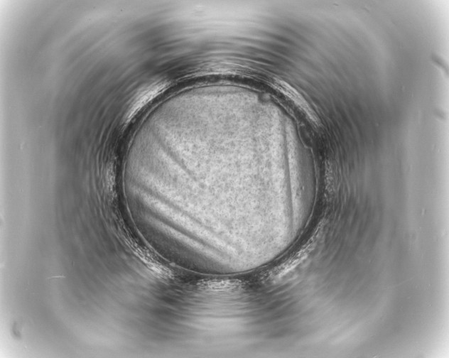 X0000093730826200710301042