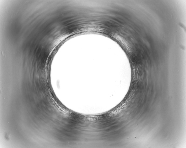X0000093730828200710301042
