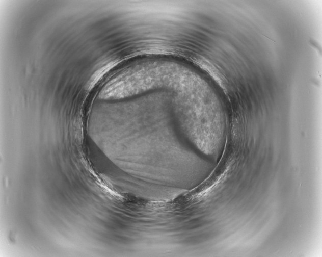 X0000093730829200710301042