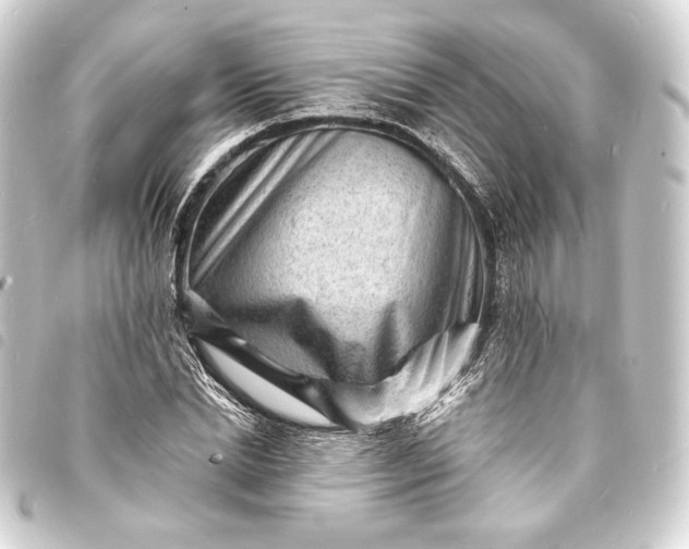 X0000093730830200710301042