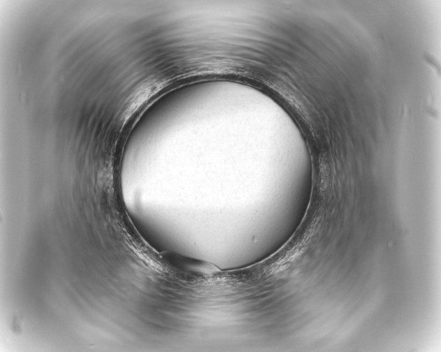 X0000093730834200710301042
