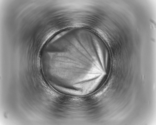 X0000093730835200710301042