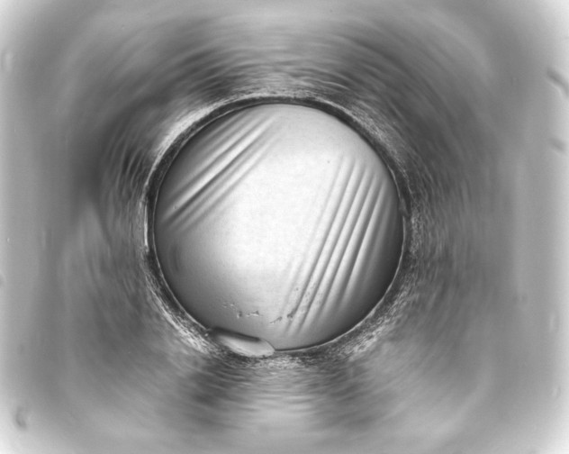 X0000093730838200710301042