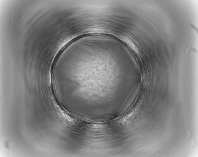 X0000093730839200710301042