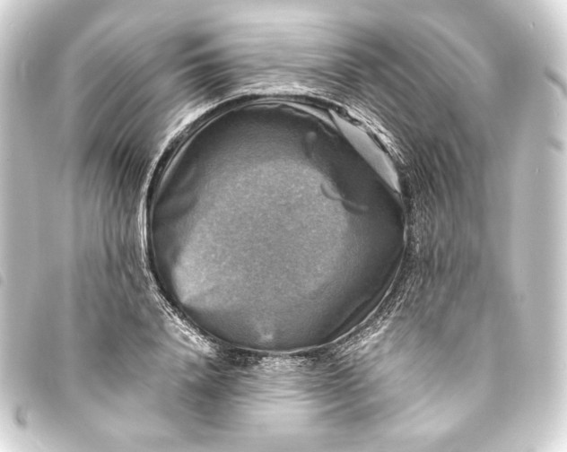 X0000093730840200710301042