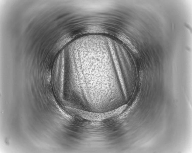 X0000093730841200710301042