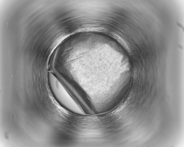 X0000093730844200710301042
