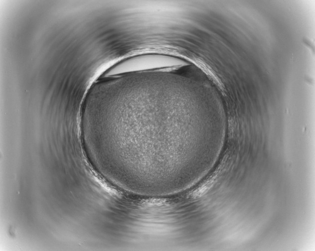 X0000093730846200710301042
