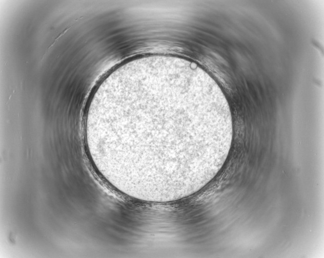 X0000093730848200710301043