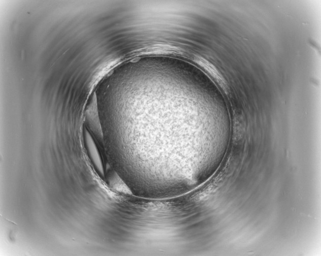 X0000093730850200710301043