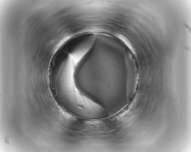 X0000093730853200710301043