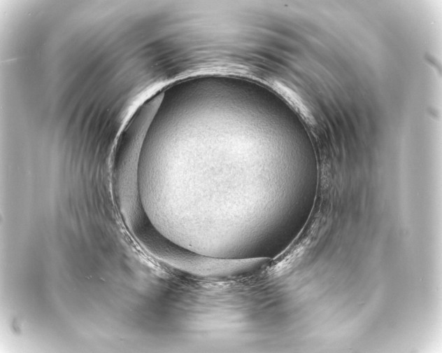 X0000093730854200710301043