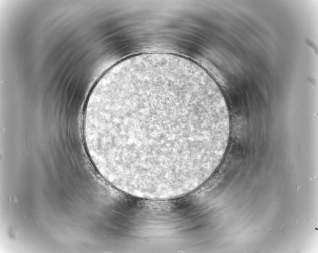 X0000093730856200710301043