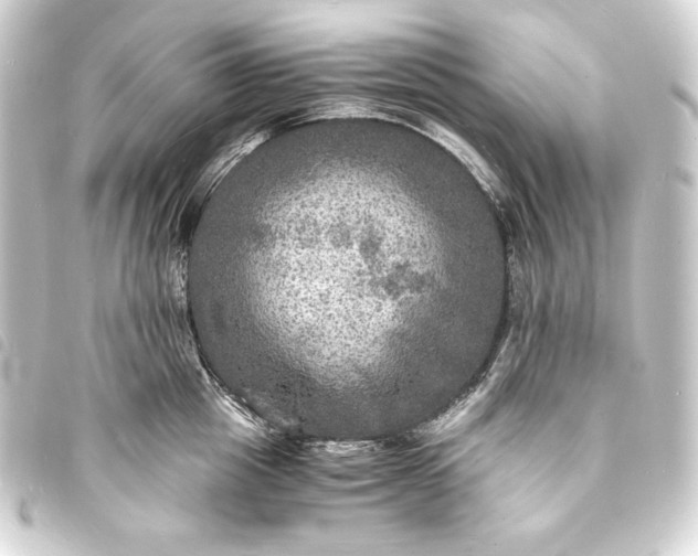 X0000093730857200710301043