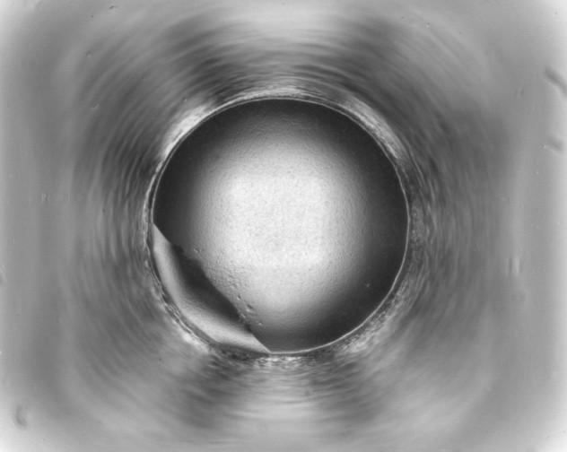 X0000093730858200710301043