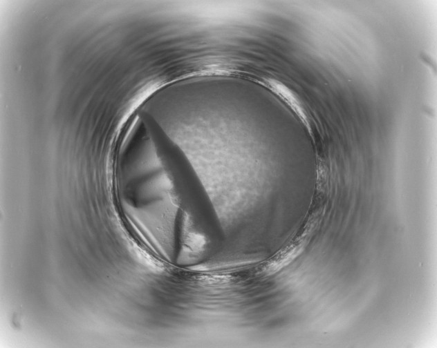 X0000093730859200710301043