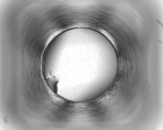X0000093730861200710301043
