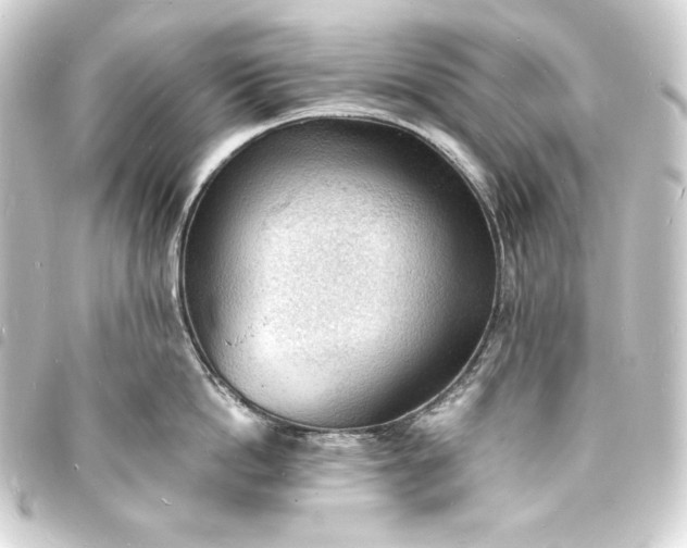 X0000093730862200710301043