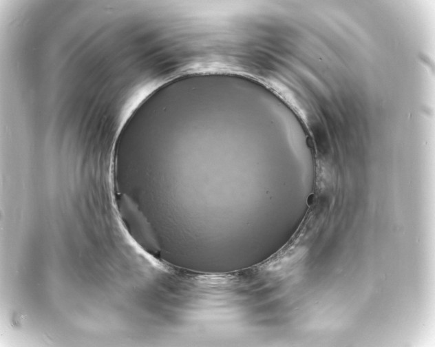 X0000093730863200710301043