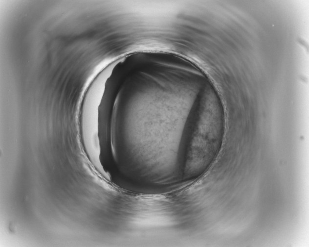 X0000093730864200710301043
