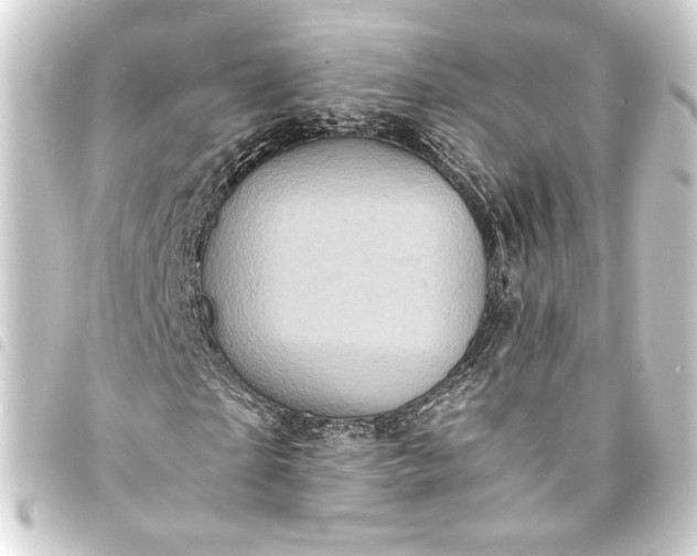 X0000093730865200710301042