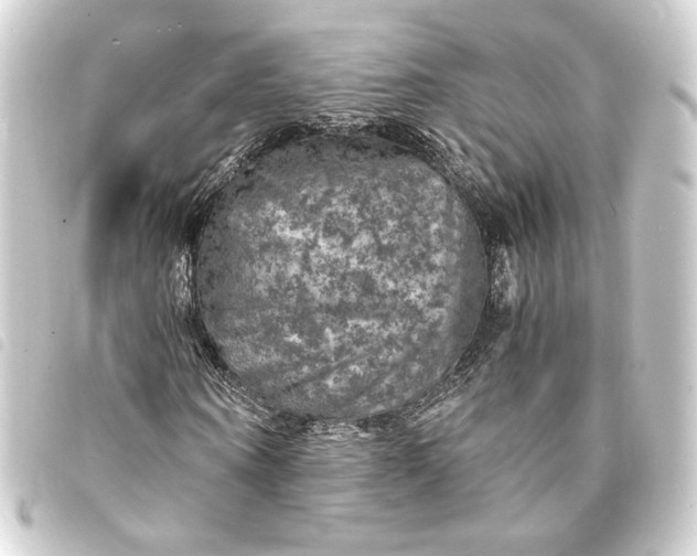 X0000093730866200710301042