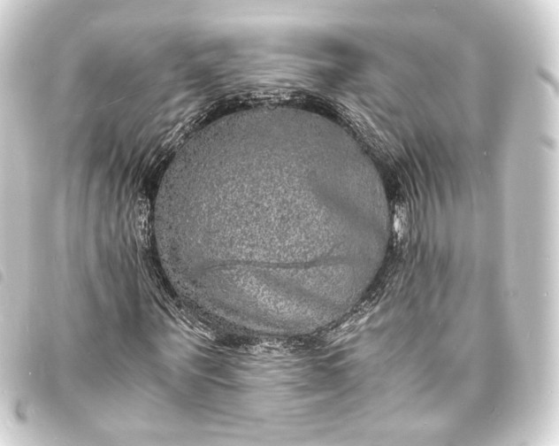 X0000093730867200710301042