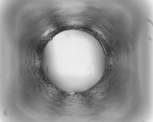 X0000093730869200710301042
