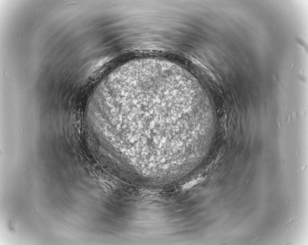 X0000093730870200710301042