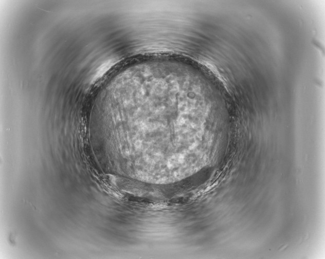 X0000093730871200710301042