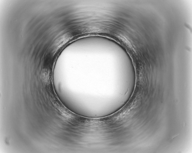 X0000093730873200710301042