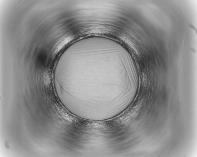 X0000093730874200710301042