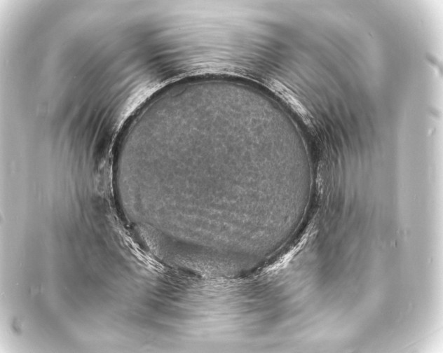 X0000093730877200710301042