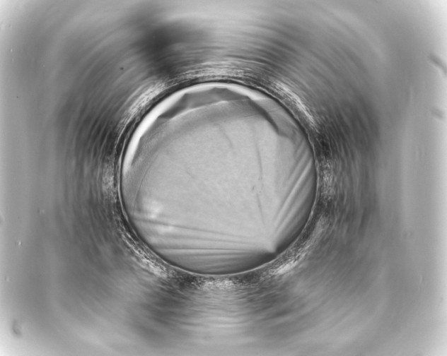 X0000093730882200710301042