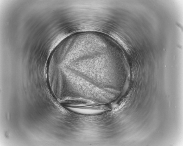 X0000093730885200710301042