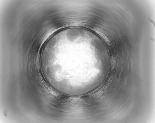 X0000093730886200710301042