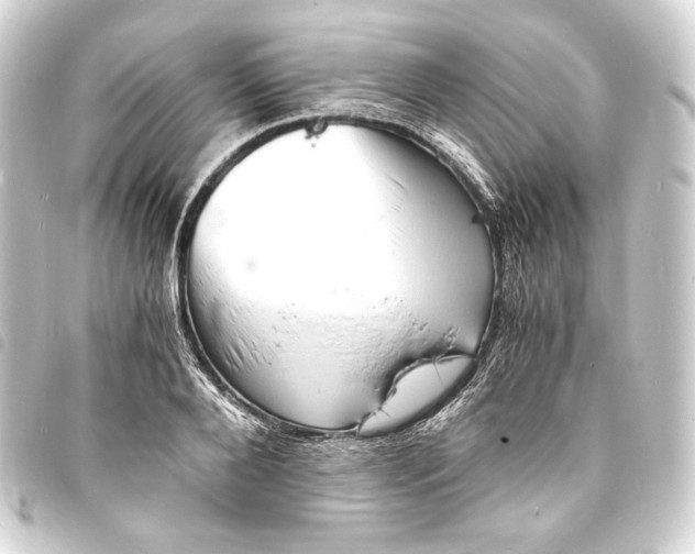 X0000093730888200710301042