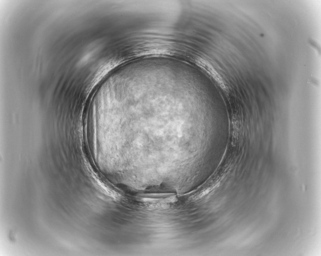 X0000093730890200710301042